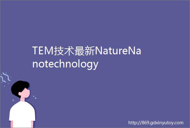 TEM技术最新NatureNanotechnology